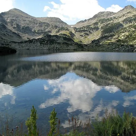 Cozy Next To Gondola * Bansko
